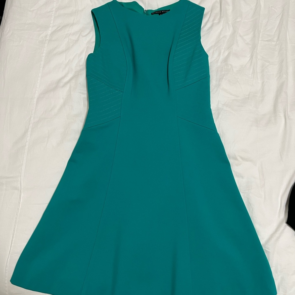 Antonio Melani dress!